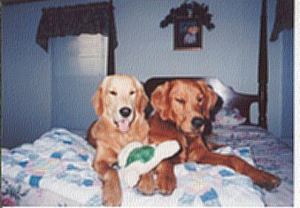 Apollo and Sadie