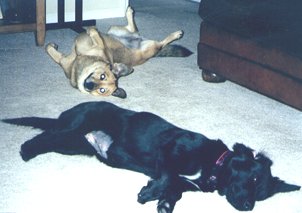 ramona and ellie