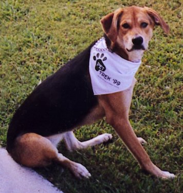 roxy